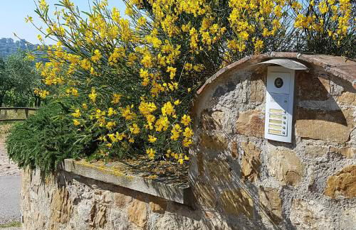 Podere Piana - Foto 38