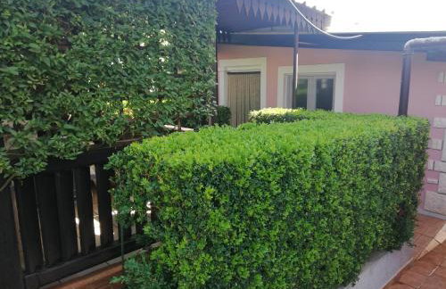 Apartments Vintijan - Foto 45