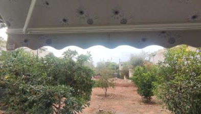 Comfortably placed near the sea - Foto 3, Garden