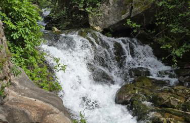 Le Allegre Comari di Nesso, casa e benessere - Foto 3