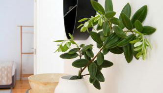 Verde'Água Family Home - Foto 5