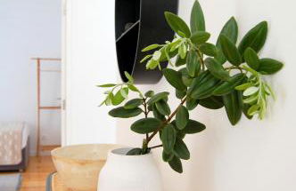 Verde'Água Family Home - Foto 5