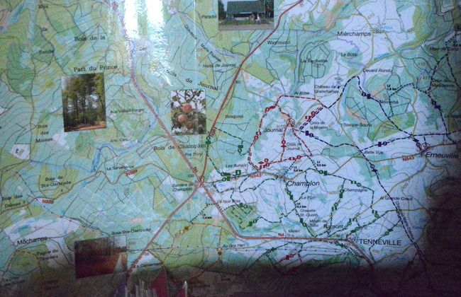 Champlon Villa Near Forest - Photo 36