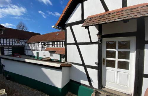 Thüringer Tannenhof Ferienwohnungen - Foto 1