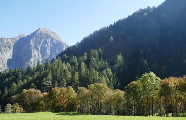 Rustico Enrico - Foto 21