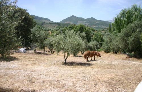 Casas Rurales La Loma Del Carrascal - Foto 35