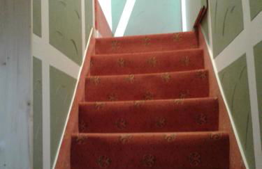 Bubi Niedlich - Foto 13