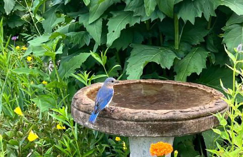 Mid-Century DJs Dream near Rhinebeck - Photo 9