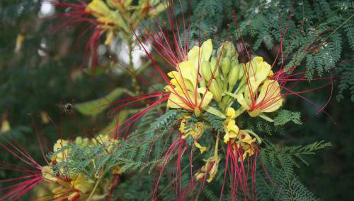 Toni i Kristina - Foto 2