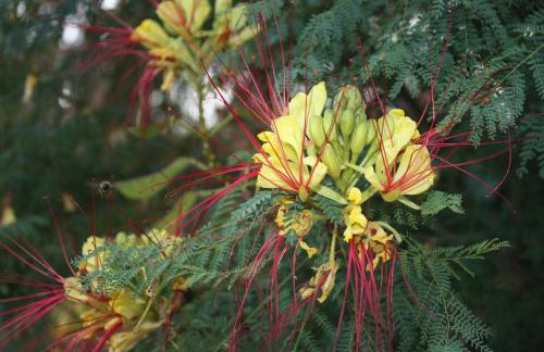 Toni i Kristina - Photo 2