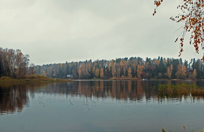 Flora Park Country Club - Foto 39