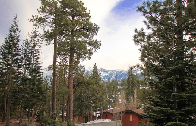 Mammoth Ski & Racquet Club - Foto 69