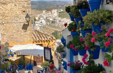 Dehesilla Olive Orchard Retreat - Foto 13