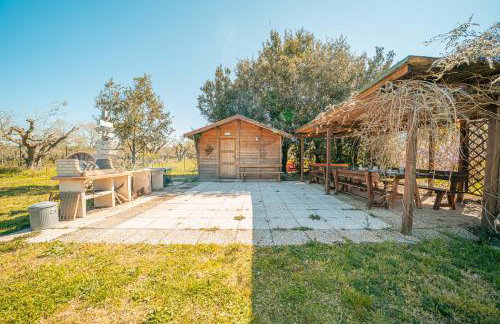 Casa RiVa - Among olive trees and the Tuscan coast - Photo 23