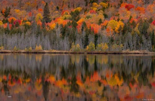 Gooseberry Trailside Suites by Heirloom Boutique Collection - Foto 28