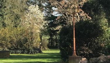 Familienhaus - Foto 5