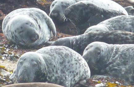 Appartement L'Embarcadère - Photo 59