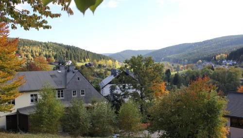 Ferienhaus zum Grünen Hirsch Stolln - Foto 2