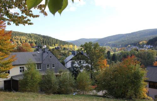 Ferienhaus zum Grünen Hirsch Stolln - Foto 2