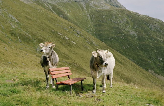 Apartment in Tyrol Near Ski Slopes - Foto 28