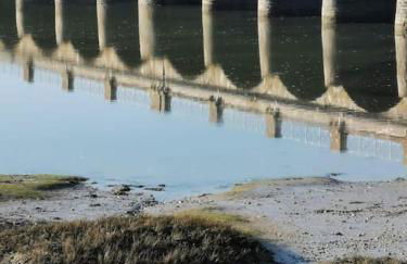 La Picotterie - Photo 27