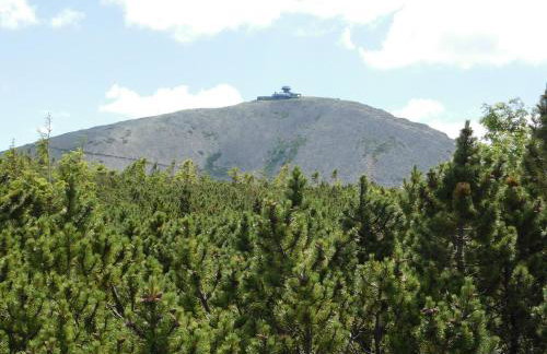 Apartament Zielone Wzgórze 2 - Foto 56