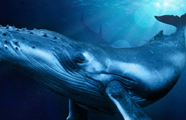 Entrada a Palma Aquarium - Foto 1