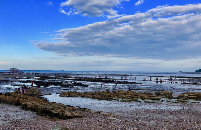 Solent Landing No 16 Beach Retreat - Foto 15