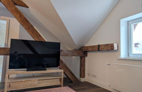 Winzervilla Kammerhof - 3x stilvolle & geräumige FeWos mit Moselblick, 2-12 Gäste buchbar, direkt am Moselradweg - Foto 12