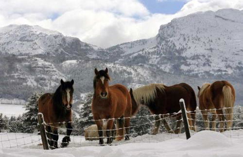 Chalet du champ Martel - Foto 19