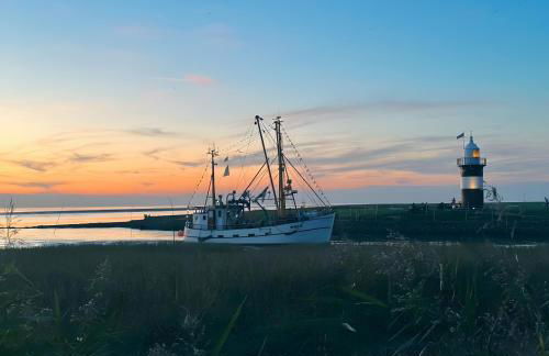 Abendsonne - Foto 11