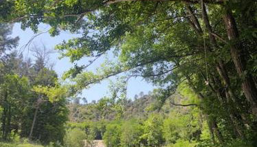 Gîte et jardin en bord de rivière - Foto 2, Garden