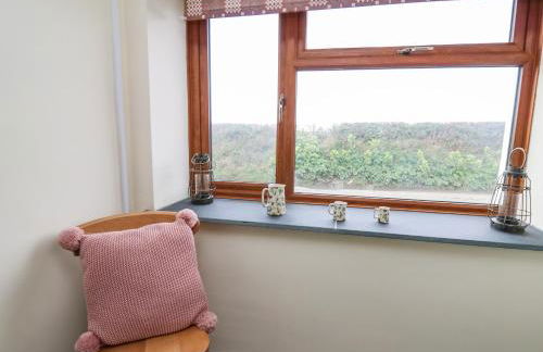 Blaenferwig - Photo 19