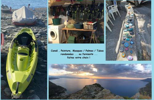 Cap Corse - Grande maison au bord de mer - PMR - Foto 19