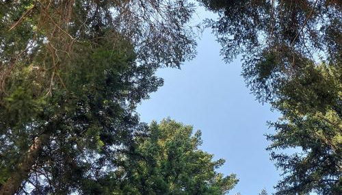 Casa al Dos - Foto 3