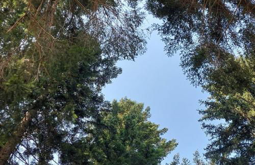 Casa al Dos - Foto 3