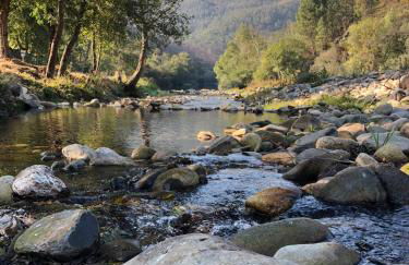 Palheiro do Vale do Paiva - Foto 28