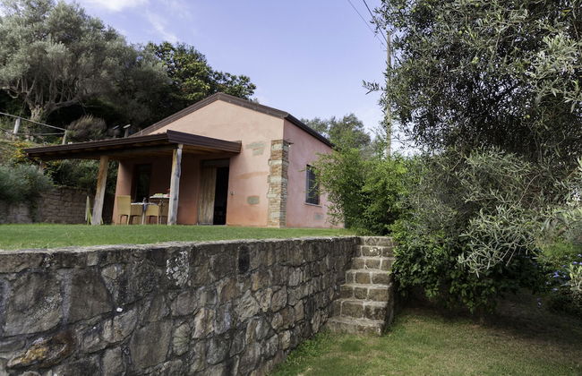 Agricontura - Foto 56