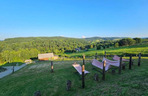 Stodoły w Bieszczadzie domy z basenem i widokiem na góry - Photo 80