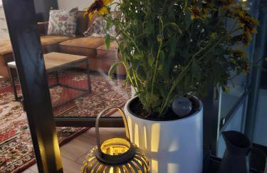 Czarny Słoń - elegancki apartament z klimatem - Photo 56