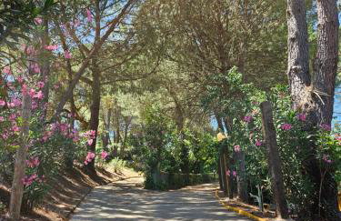 Finca rural Labriega del hueznar - Foto 73