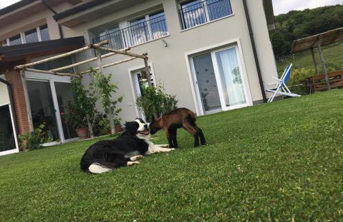 Agriturismo Fattoria Monte Baldo VISTA LAGO - Foto 42