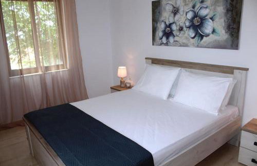 Nikos Agia Fotia - Foto 6