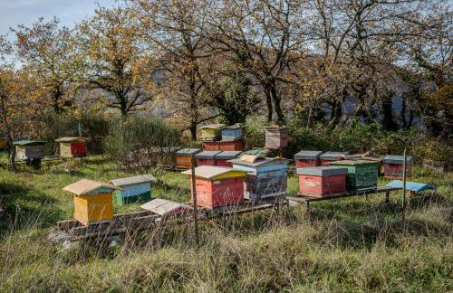 Il Capriccio del Papa - Foto 82