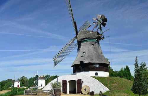 Moderne Wohnung in der Heide - Foto 12