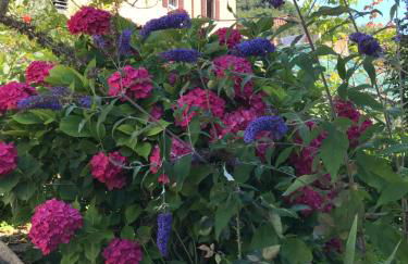 Casa Castanea - Garda Hideaway - Foto 19