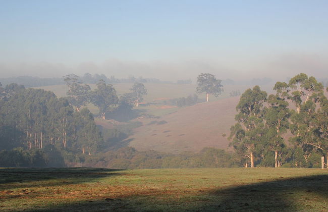 Pump Hill Farm Cottages - Photo 71