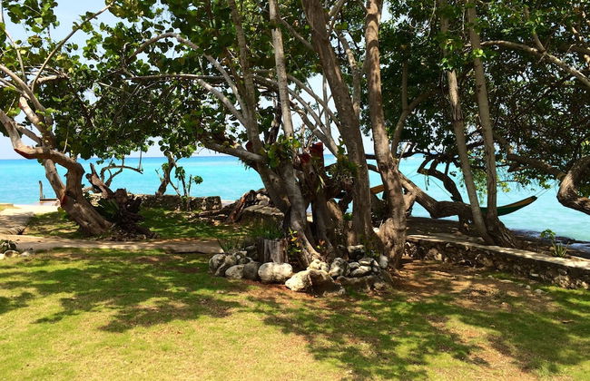 Little Bay Cabins - Foto 34