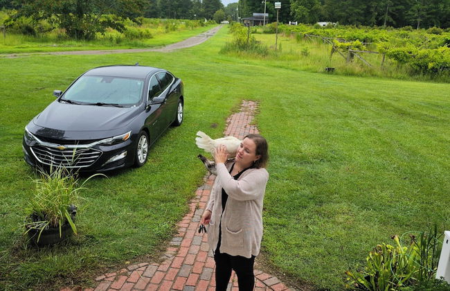 Phoenix Farms Vineyard - Foto 23