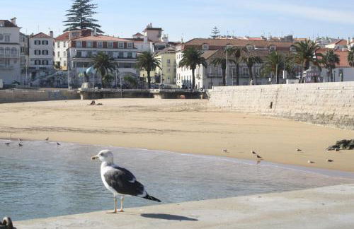 Charming Estoril Apt Beach 5 Min Walk - Photo 35